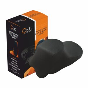 Back Support Cushion